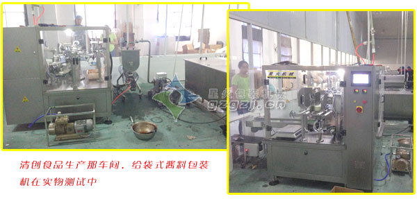 麻香酱给袋式包装机客户案例